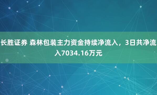 长胜证券 森林包装主力资金持续净流入，3日共净流入7034.16万元
