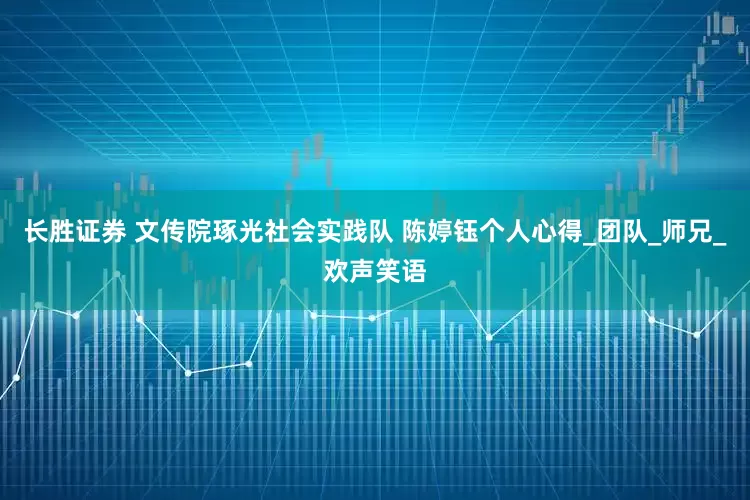 长胜证券 文传院琢光社会实践队 陈婷钰个人心得_团队_师兄_欢声笑语
