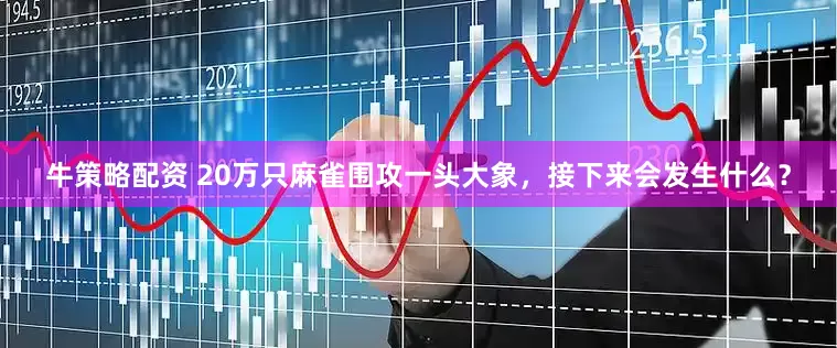牛策略配资 20万只麻雀围攻一头大象，接下来会发生什么？